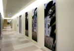 Image concept acoustic panels - Charlottenburg Palace Park